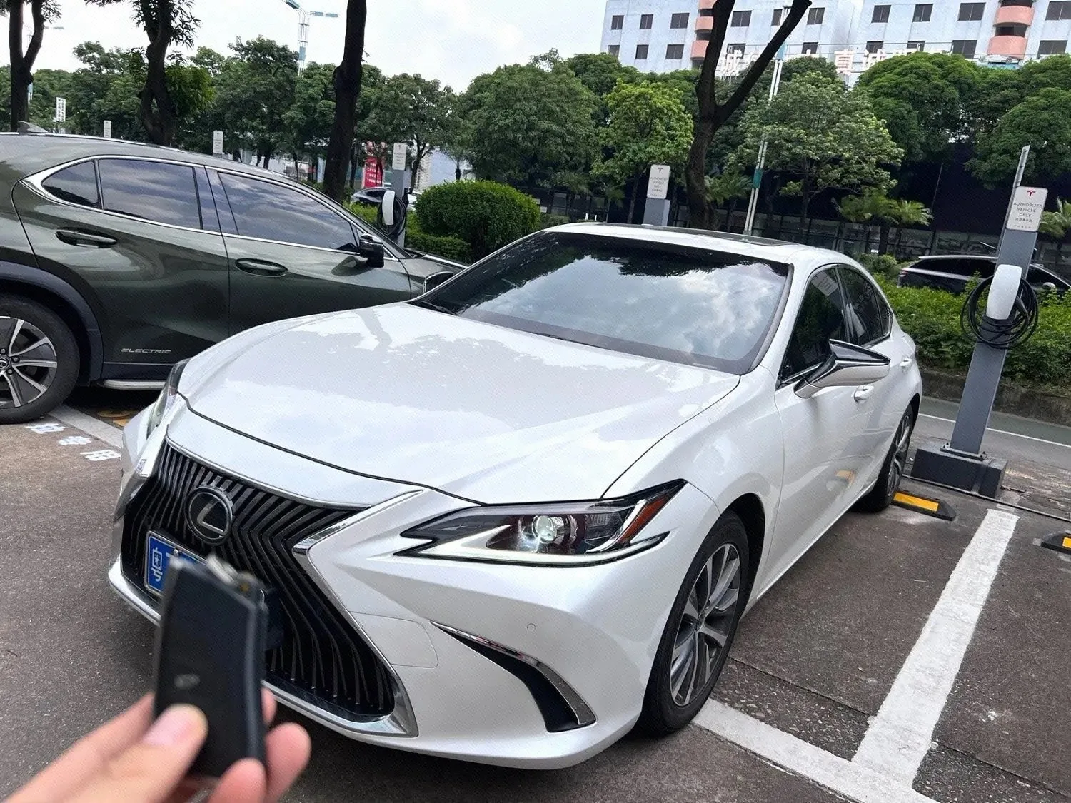 Lexus ES 2018 200 Premium Edition (China V Emission Standard)