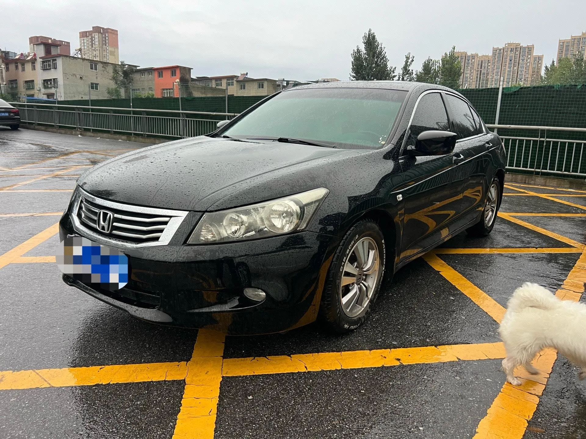 Accord 2010 2.4L EX Navi