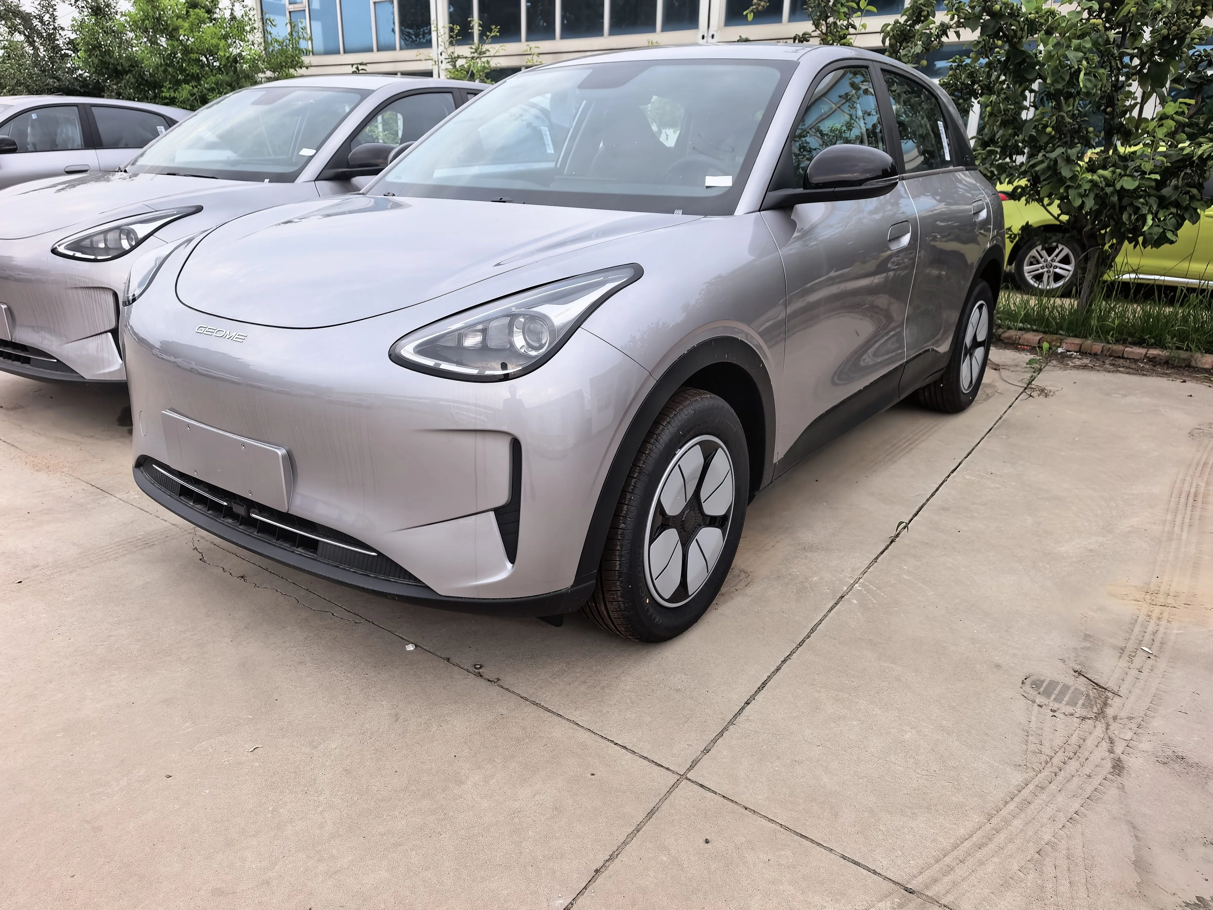 Star Wish 2026 Model 310km Youth Edition