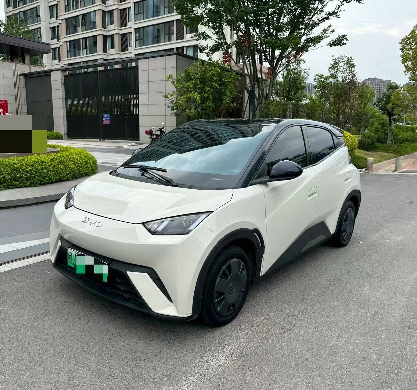 BYD 2025 Seagull 305km/h Vitality Edition Automatic
