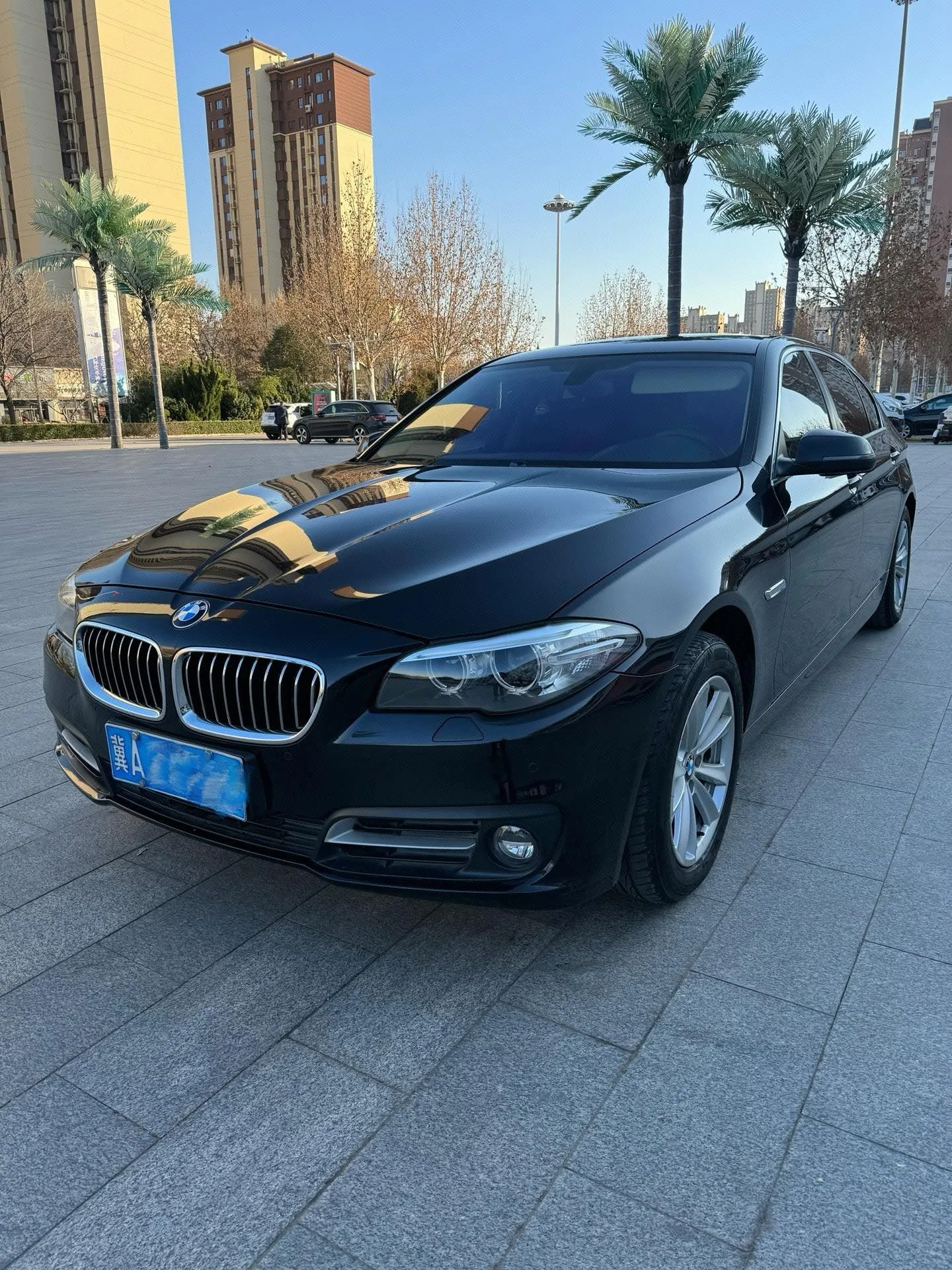 2014 BMW 5 Series 520Li Elegant Edition