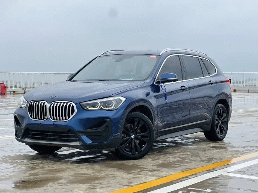 2020 BMW X1 sDrive20Li Style