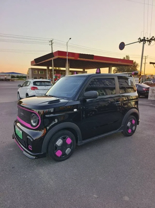 Geely 2025 Panda MINI 210km Panda Go-Kart Automatic
