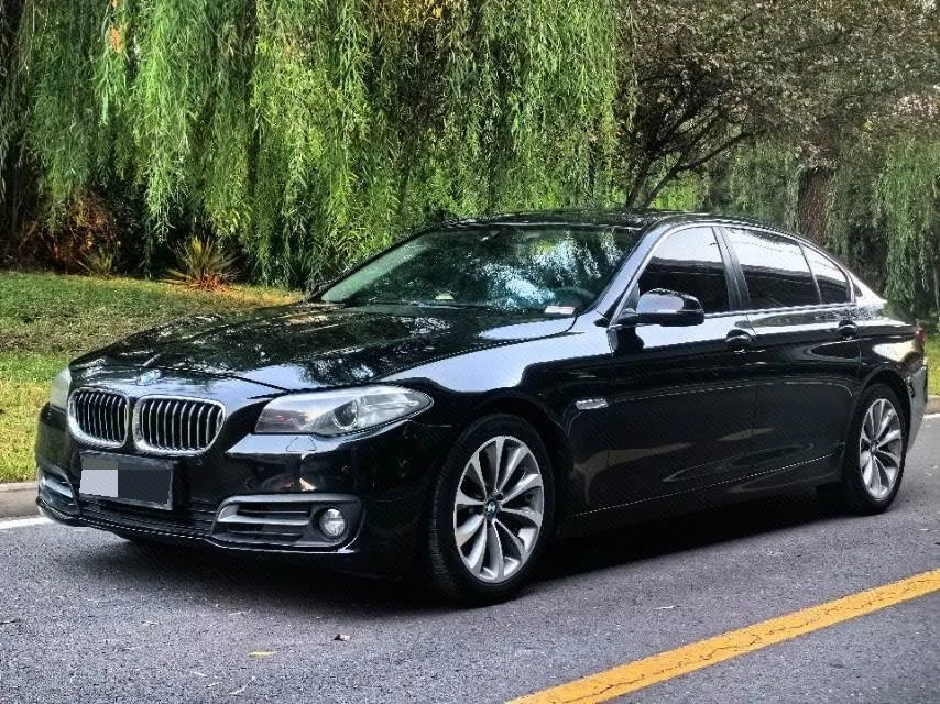 2014 BMW 5 Series 520Li Elegant Edition