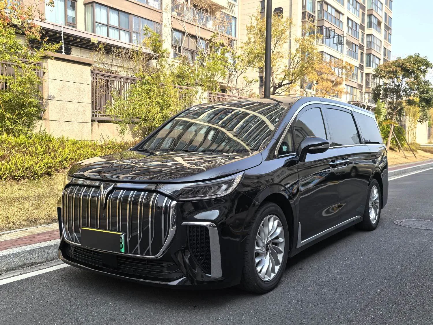 Dreamer 2022 Model, Zero-Carbon Edition, Family, 475 km