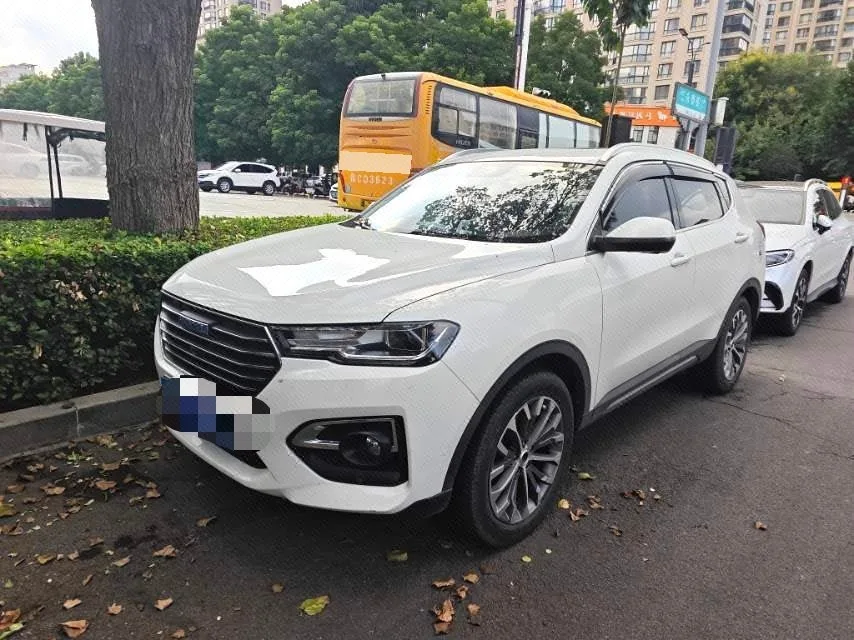 Haval H6 2018 Blue Label 1.5T Automatic Luxury