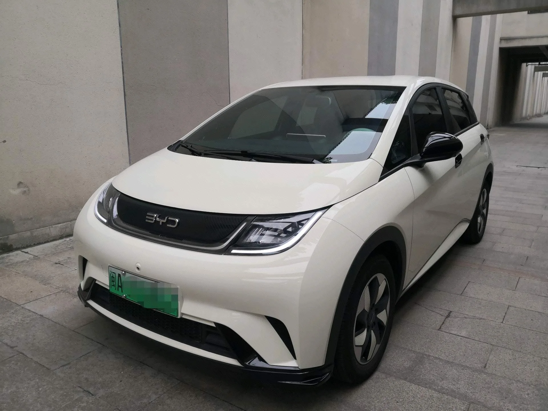 BYD 2025 Dolphin 420km Freedom Edition Automatic
