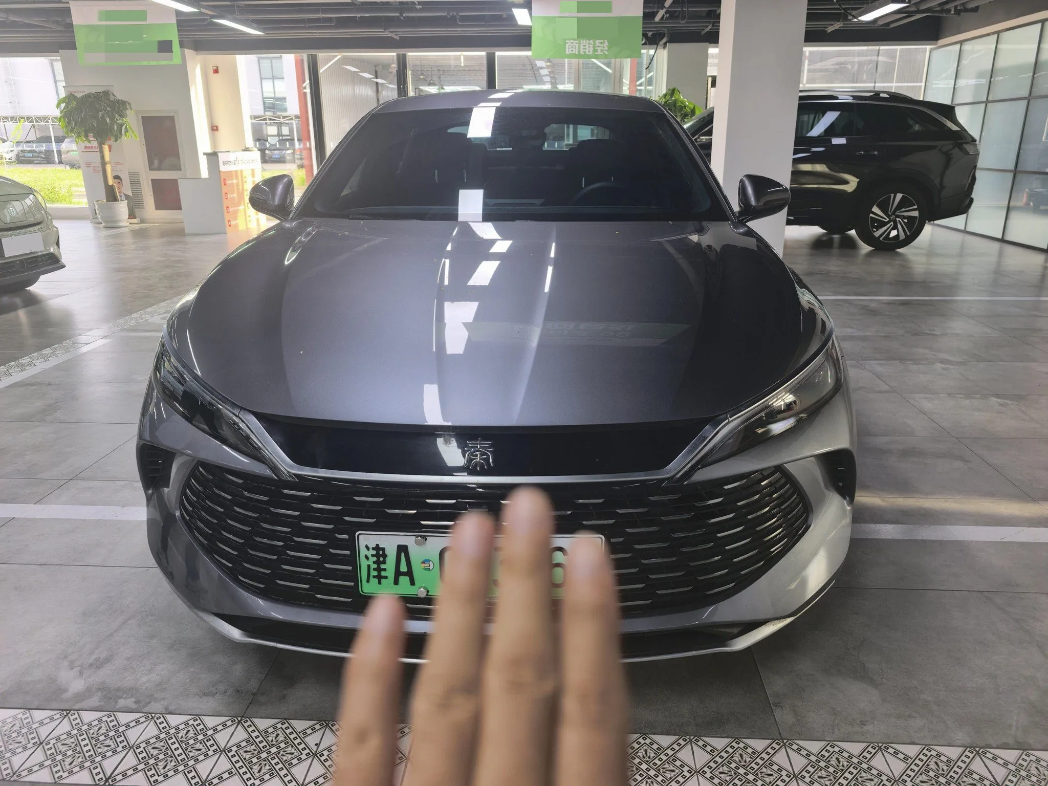 Qin L 2024 DM-i 80KM Leading Edition