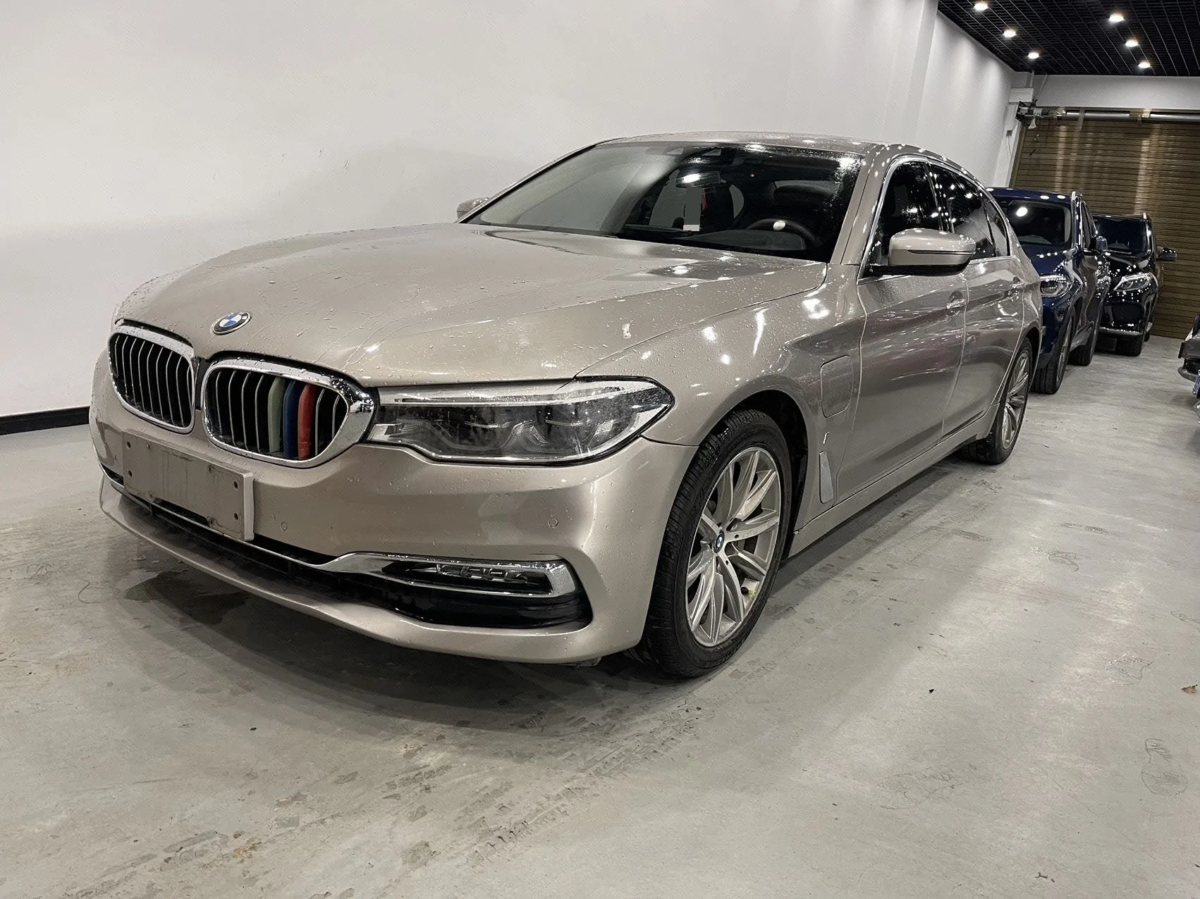 BMW 5 Series Plug-in Hybrid, 2019 Model Year, 530Le, Luxury Package