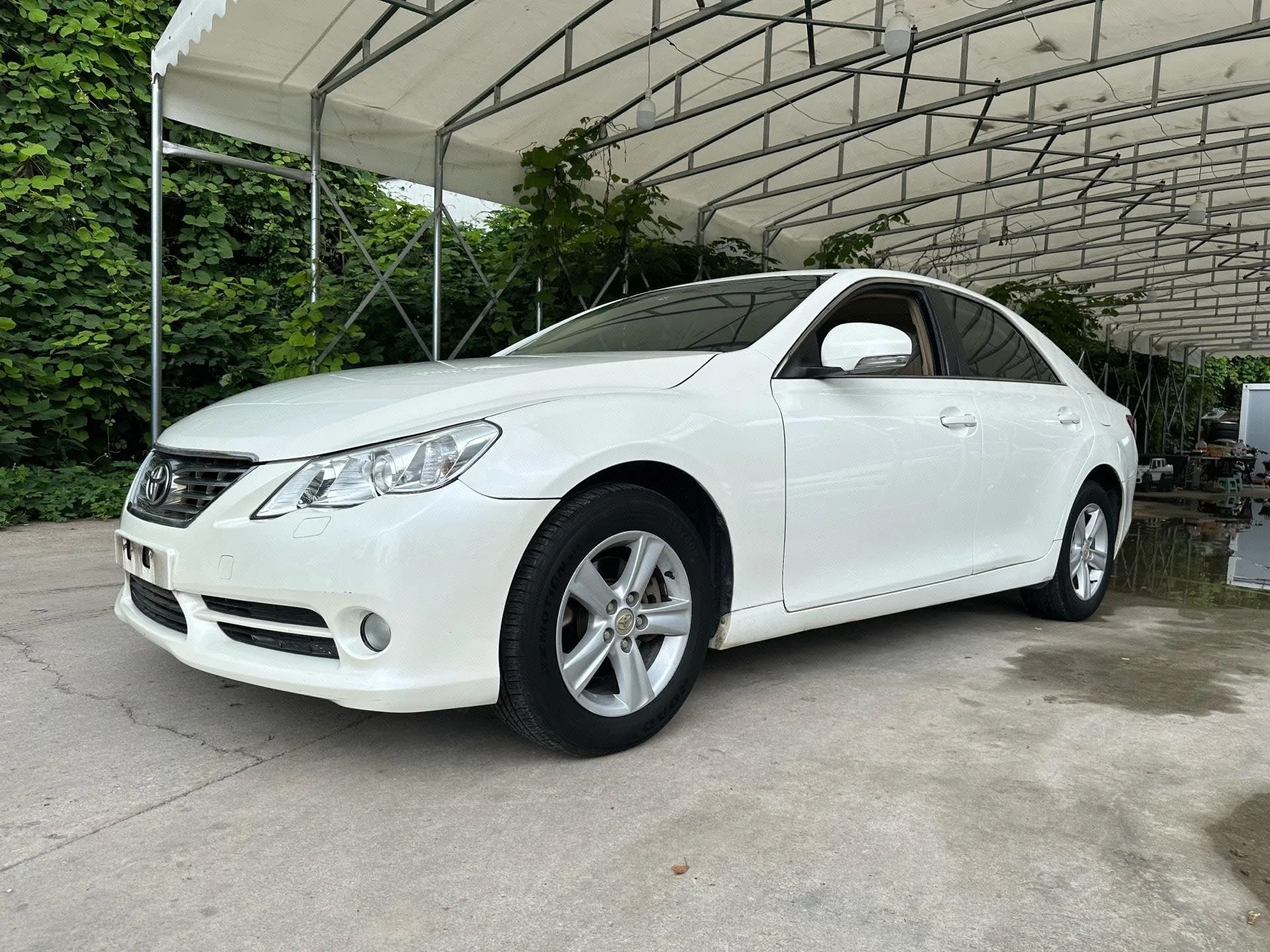 Reiz 2010 2.5S Fashion Elite Edition