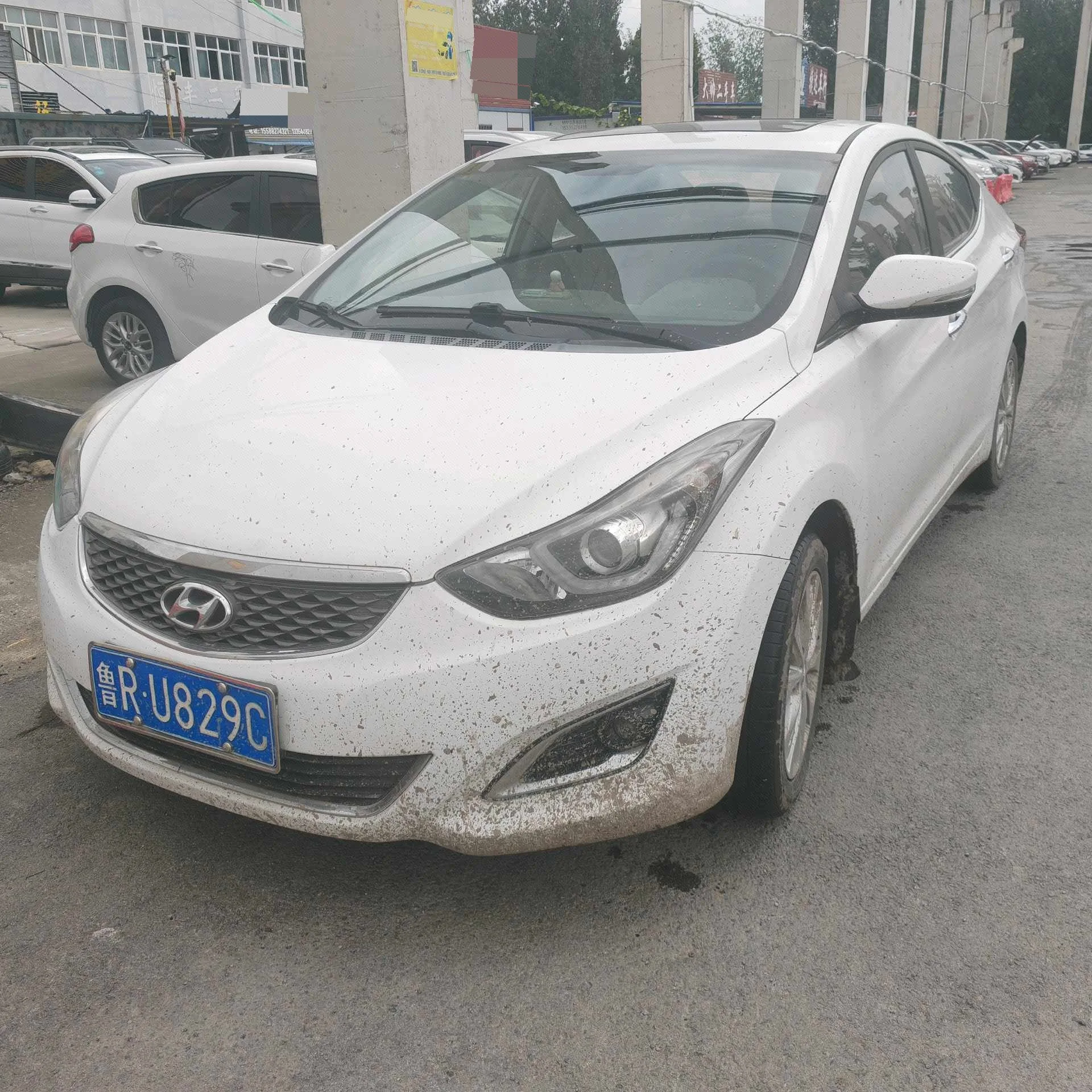 Hyundai Elantra 2016 1.6L Automatic Premium Edition
