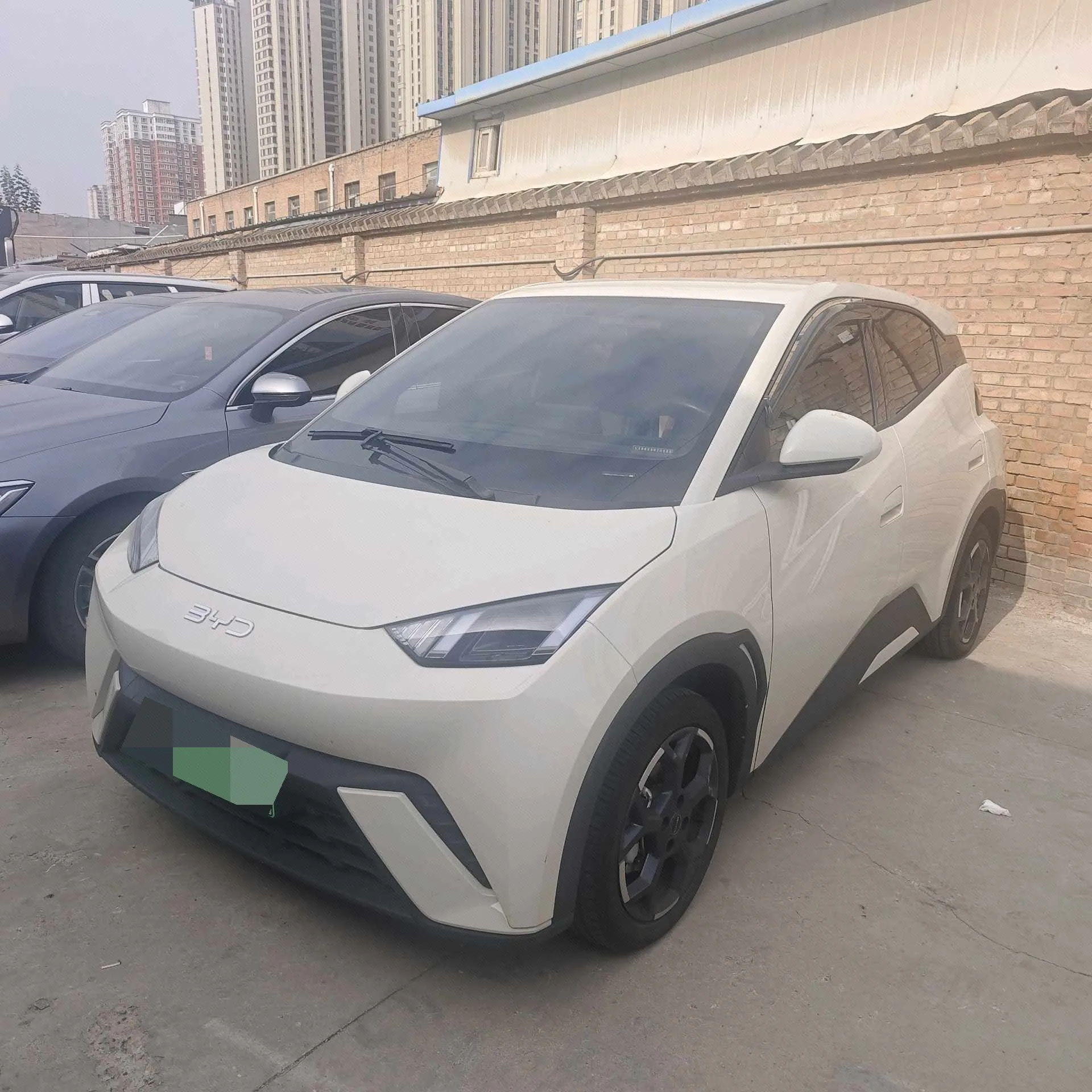 BYD 2025 Seagull 305km/h Freedom Edition Automatic