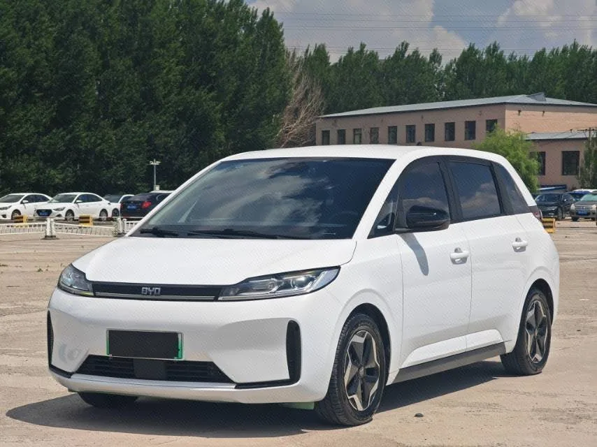 BYD D1 2021 Model Year, Leading Innovation Edition