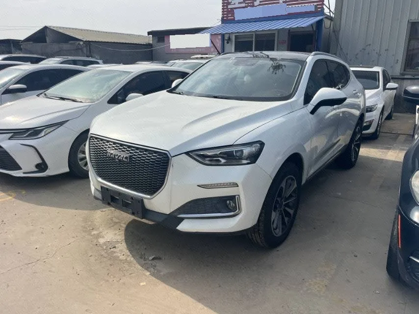 2019 Haval F5 "National Trend" Edition 1.5T i-Trend (National V)