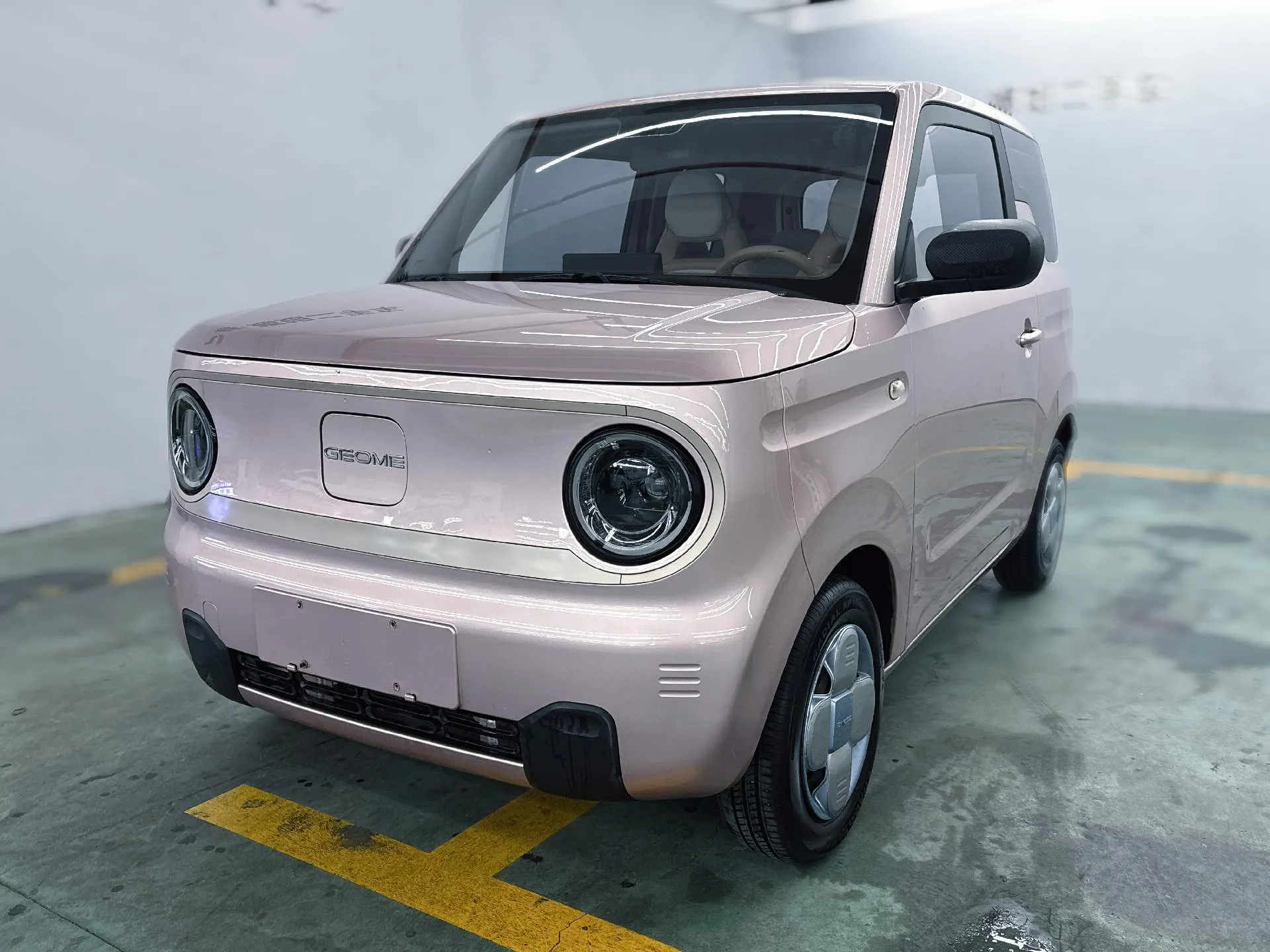Panda 2023 Panda Mini 200km Endurance Bear