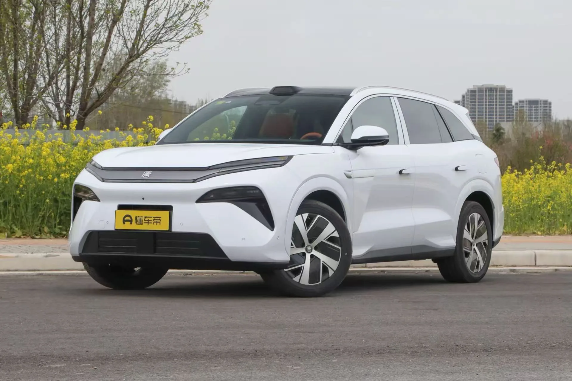 BYD Tang L（Atto 8）